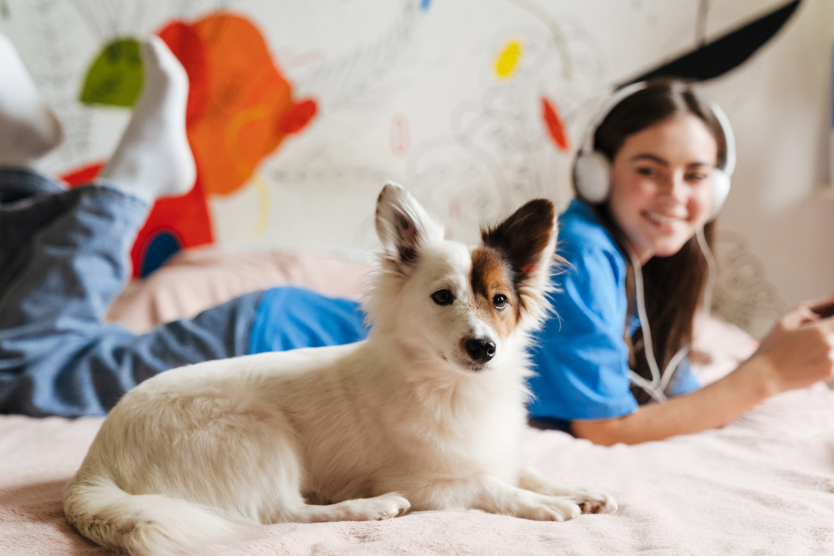 How to Wash Pet Bedding